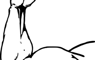 Griffkraft trainieren