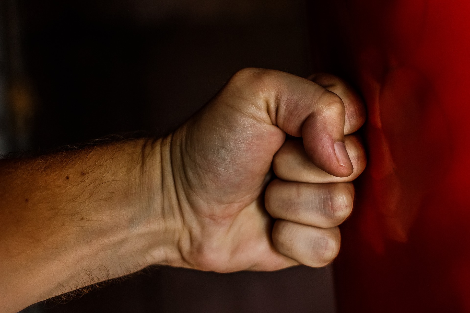 fist-1561157_1920 Faust Schlagkraft
