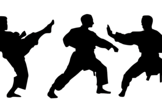 Kampfsport Training zu Hause