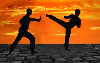 Kampfsport schneller lernen