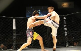 Welche Kampfsportarten für MMA