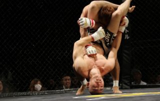 MMA mixed martial arts