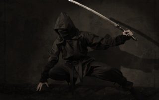 Die Kampfkunst der Ninja