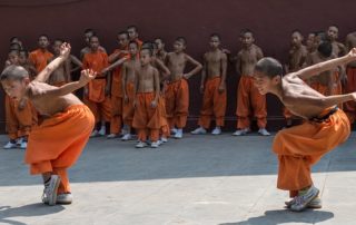 Tierstile im Kung-Fu